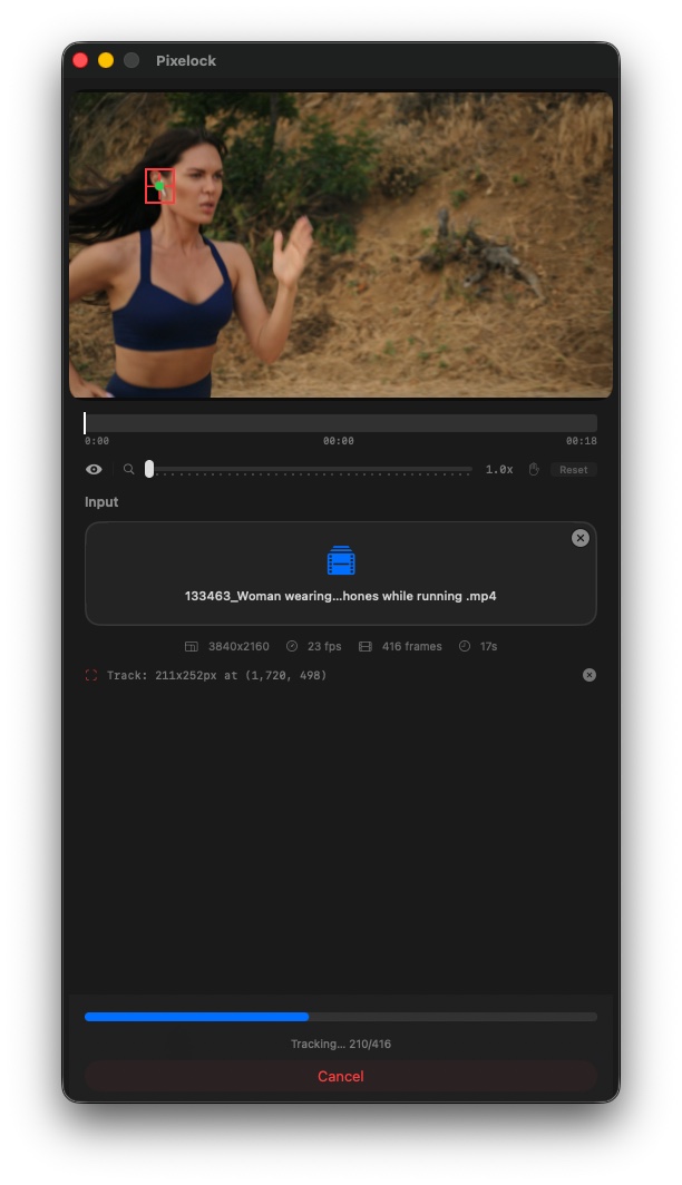 Pixelock Apple Vision AI tracking a subject frame by frame — live green tracking indicator during analysis on macOS