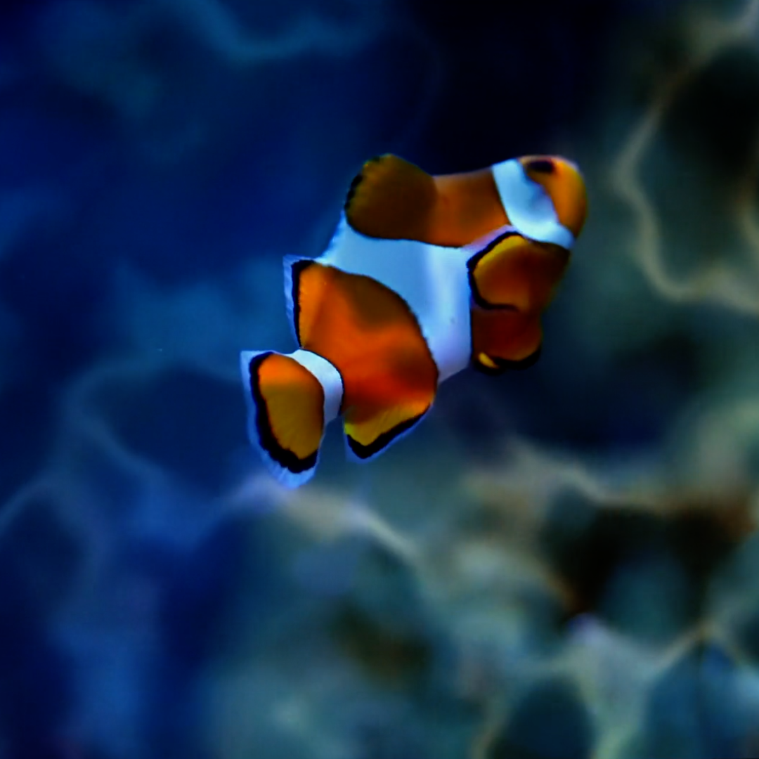 Underwater