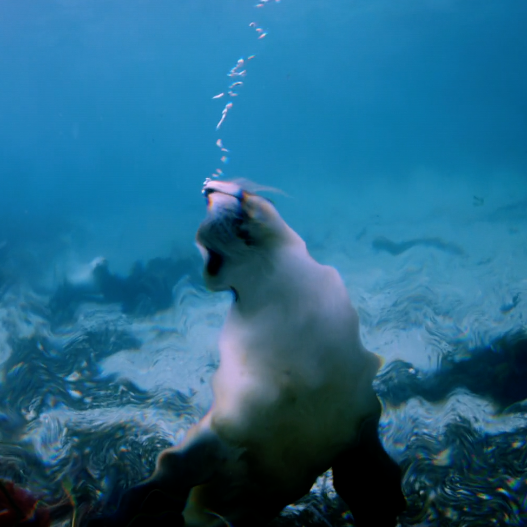 Fluid Flow