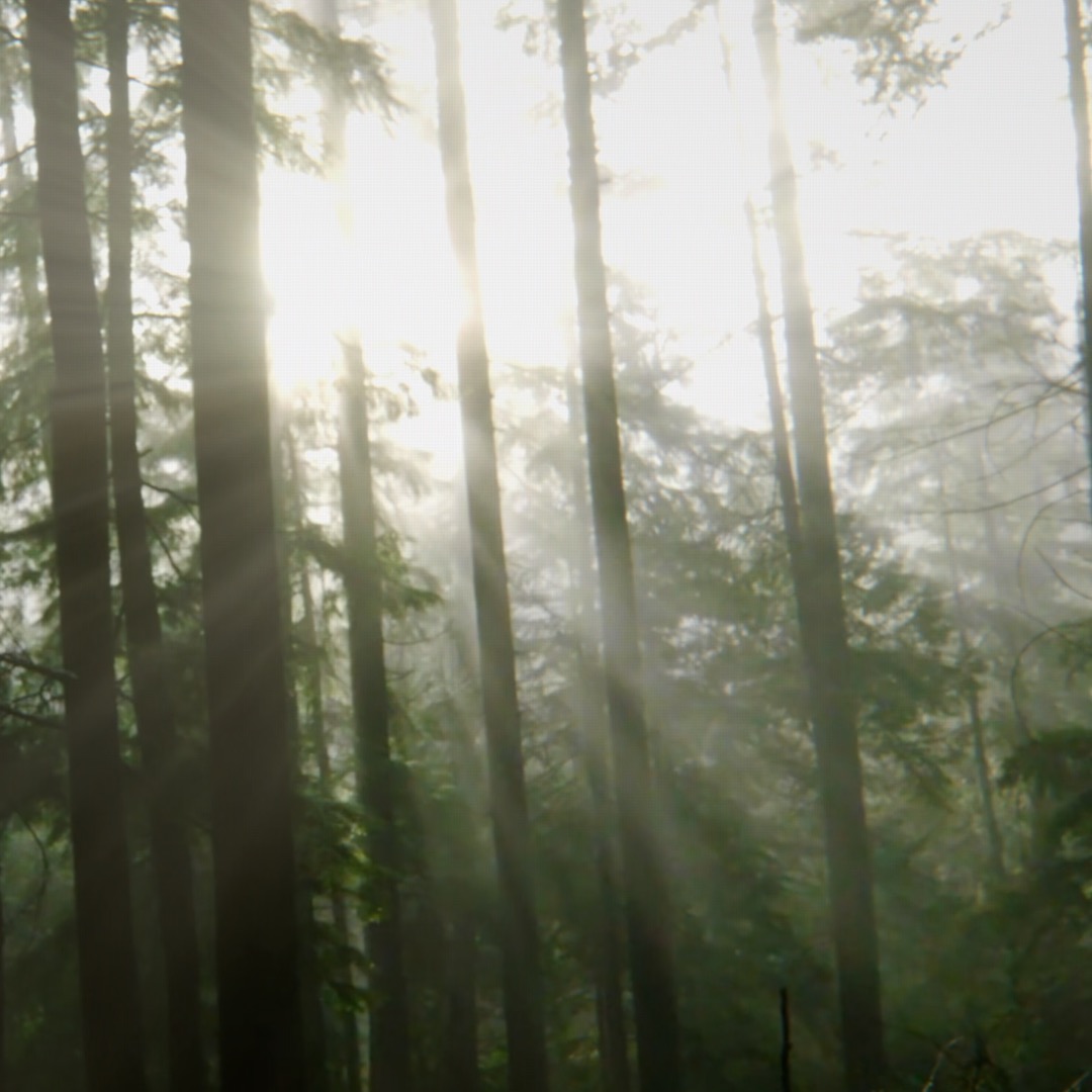 God Rays